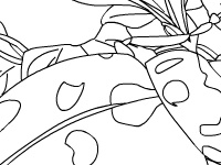 Game Garden beetle