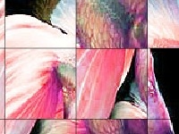 Game Pinky fish