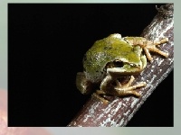 Game Choose a puzzle 2