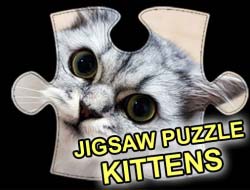 Game Jigsaw Puzzle Kittens online.