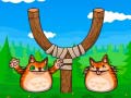 Game Shot The Angry Cat