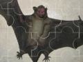 Game Flying bat
