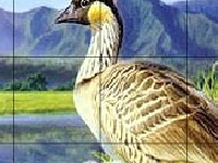 Game Ducks and rainbow