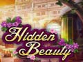Game Hidden Beauty