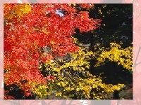 Game Choose a puzzle 3