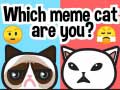 Game Which Meme Cat Are You?