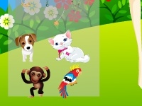 Game Bloom and parrot