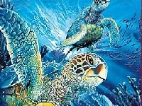 Game Tutrtles in the ocean