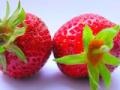 Game Fruits & vegetables 15