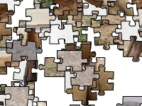 Game Dromedary camel