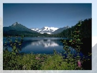 Game Choose a puzzle 7