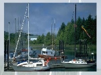 Game Choose a puzzle 9