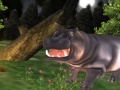 Game Wild Hippopotamus Hunting