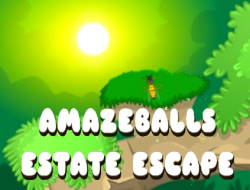 Game Amazeballs Estate Escape online