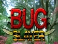 Game Bug Slayer