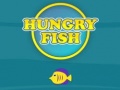 Game Hungry Fish online