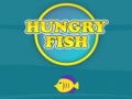 ເກມ Hungry Fish