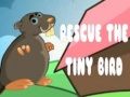 Game Rescue The Tiny Bird