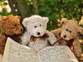 Game Cuddly Three Teddy Jigsaw