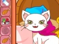 Game Cathy The Pretty Cat