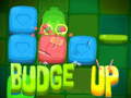 Game Budge Up online