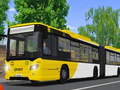 Game Public Transport Simulator 2021