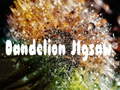 Game Dandelion Jigsaw