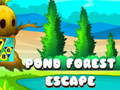 Game Pond Forest Escape