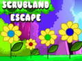 Game Scrubland Escape