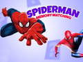 Cluiche Spiderman Memory Matching