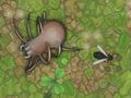 Game Antwar.io