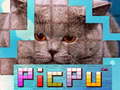 Game PicPu Cat 