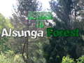 Game Return To Alsunga Forest