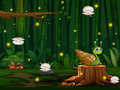 Game Snail Run