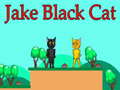 Game Jake Black Cat