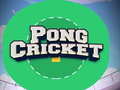 Game Pong Cricket