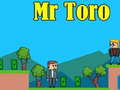Game Mr Toro