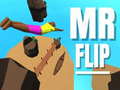 Game Mr Flip