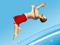 Game Flip Divers