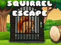 Game Squirrel Escape