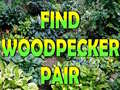 Game Find Woodpecker Pair 