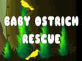 Game Baby Ostrich Rescue