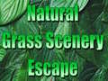 Game Natural Grass Scenery Escape