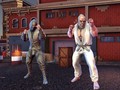 Game World Of Fighters: Iron Fists