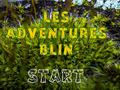 Game Les Adventures Blin