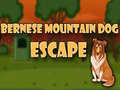 Cluiche Bernese Mountain Dog Escape