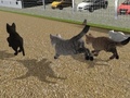 Game Run Cat Cat Race