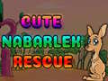 Game Cute Nabarlek Rescue