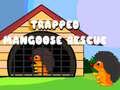 Game Trapped Mangoose Rescue