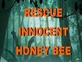 Game Rescue Innocent Honey Bee 